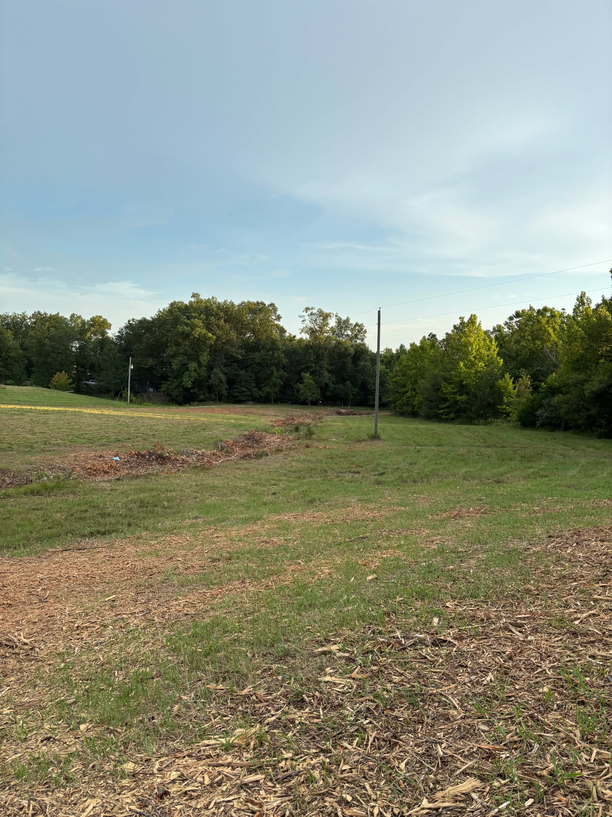 After land clearing — the cedar stand removed, leaving open field with mulch windrows