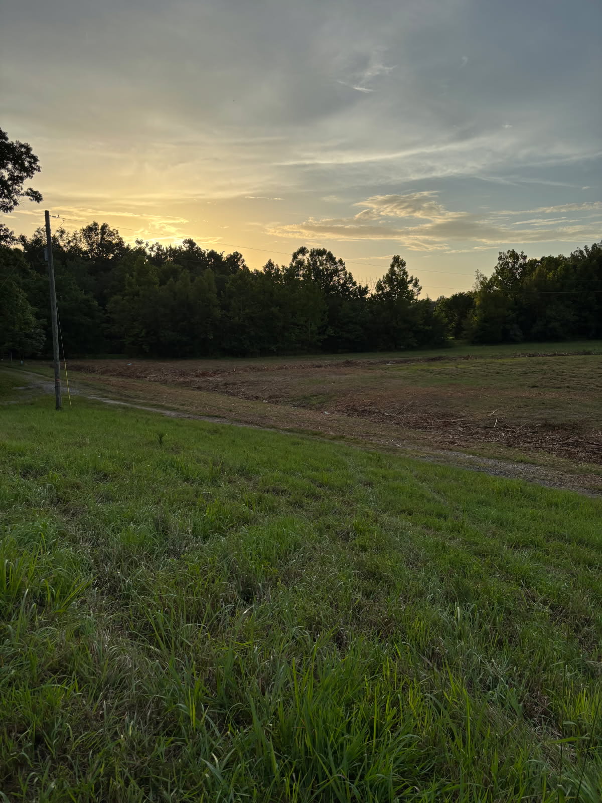 After land clearing — the same field path opened up to cleared ground at sunset